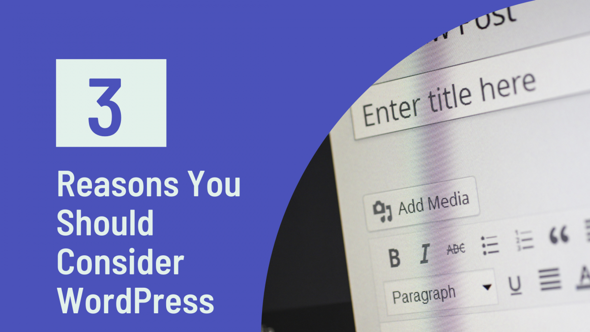 3 reasons why you might wanna consider wordpress for your next project